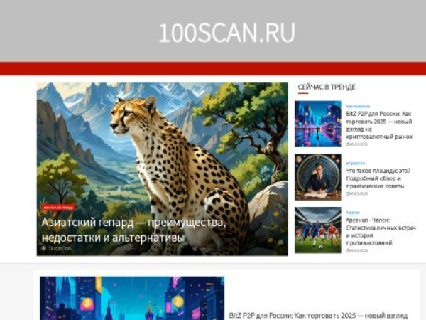 100scan.ru