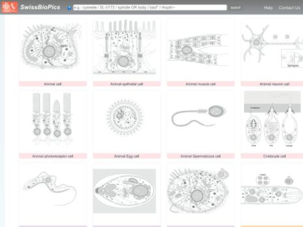 swissbiopics.org