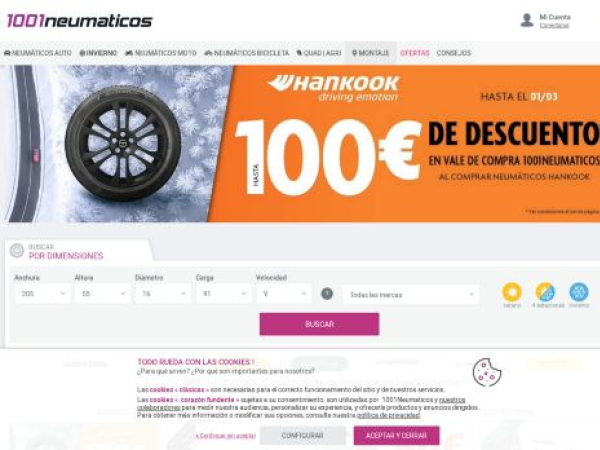 1001neumaticos.com