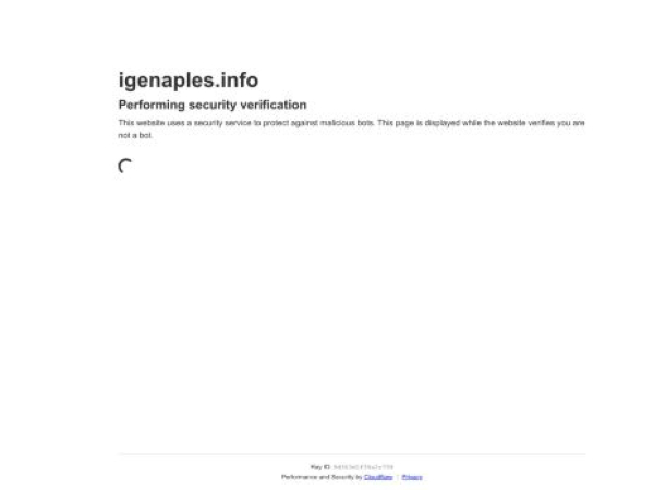 igenaples.info