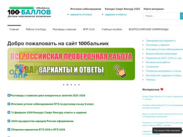 100ballnik.com